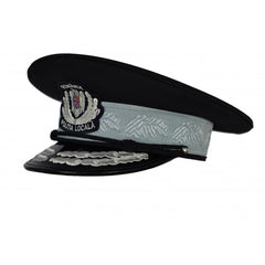 Sapca Politia Locala